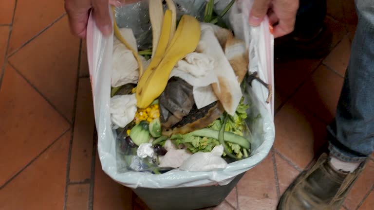 Best Yard Waste Removal  in Sterlington, LA